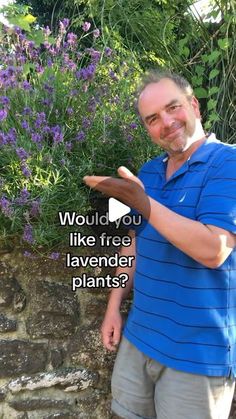 a man standing in front of a stone wall holding out his hand with the words would you like free lavender plants?