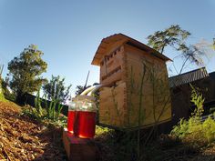 a beehive sitting on top of a pile of dirt next to a tree