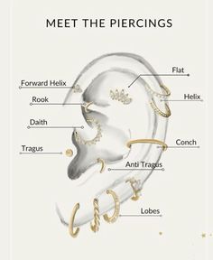 an ear diagram with the parts labeled in it and text below that reads meet the piercings