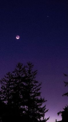 the moon and venus are visible in the night sky over some pine trees, as seen from an apartment building