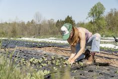 a woman tending to plants in a field