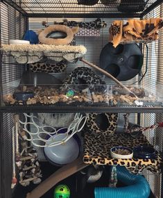 a bird cage filled with lots of different items