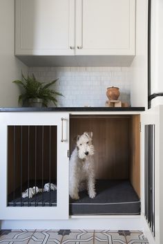 a small white dog standing inside of a wooden kennel in a kitchen next to a counter