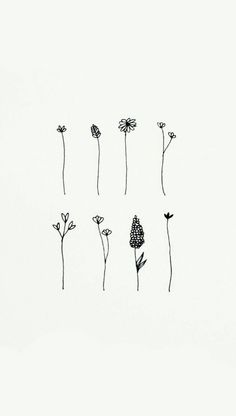 four black and white flowers on a white background