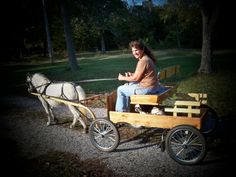 a woman riding in a horse drawn carriage on gravel road next to grass and trees