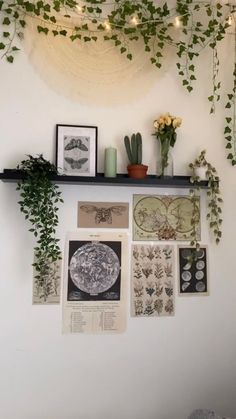 the wall is covered with plants and pictures