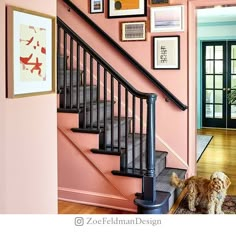 a dog standing in front of a stair case with pictures on the wall above it