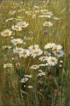 a painting of white daisies in the grass