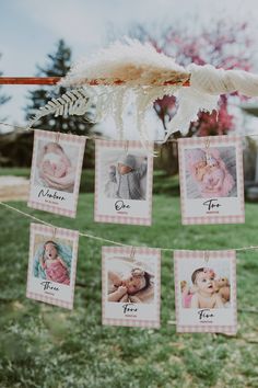 some pictures hanging from a clothes line with feathers on it and one baby in the middle