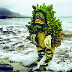 an odd looking creature standing in the water at the beach with seaweed on it's head