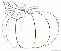 a drawing of a pumpkin with leaves on it's top and the bottom half