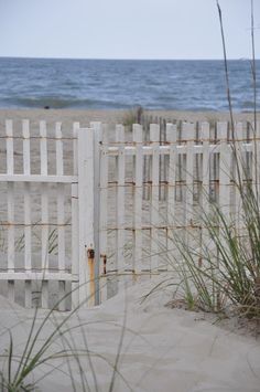 an open gate on the beach with grass growing out of it