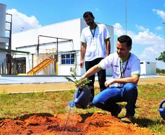 two men are planting trees in the ground