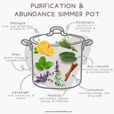 the ingredients for an abundance simmer pot are shown in this graphic above it's description