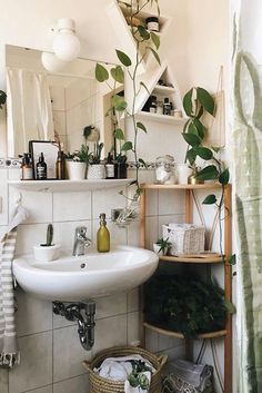 a white sink sitting under a bathroom mirror next to a shelf filled with potted plants