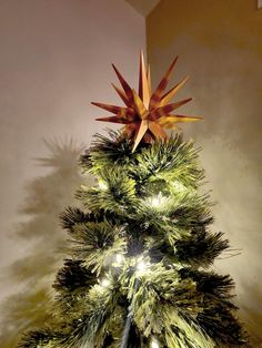 a green christmas tree with star decorations on top