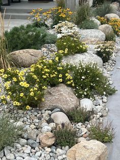 a rock garden with yellow and white flowers in the rocks, along side a building