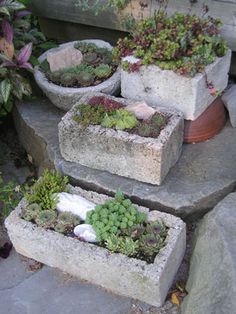 four cement planters with succulents in them sitting on the steps outside