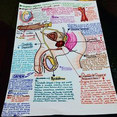 a diagram of the human body on top of a piece of paper with words written below it