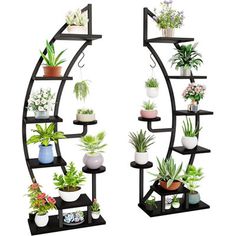 two black shelves filled with potted plants on top of each other