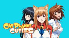 Cat Cuties Wallpapers Wallpaper Cave Cat Planet Cuties, Lord Marksman And Vanadis, Anime English, Anime Reviews, Ultimate Spiderman, Anime Cat, Cat Girl, Cat Pin