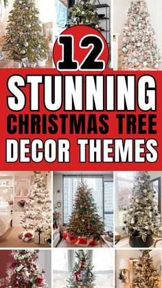 Real Christmas Trees Decorated, Different Ways To Decorate A Tree, Color Theme For Christmas Tree, Beautiful Xmas Trees, Easy Christmas Tree Themes, Christmas Tree With Big Light Bulbs, Decorated Christmas Trees Ideas Colors, Ideas To Decorate Christmas Tree, Simple Decorated Christmas Trees