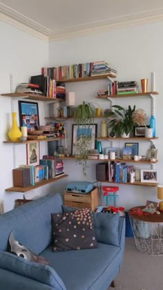 a living room filled with furniture and lots of books on the shelves next to each other