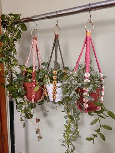 three potted plants hanging from hooks on a wall next to a plant hanger