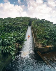 there is a man on a water slide in the middle of some bushes and trees