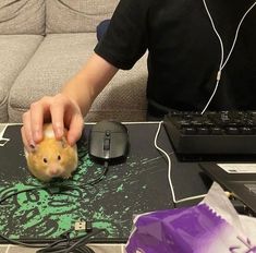 a person holding a hamster on top of a mouse pad next to a keyboard