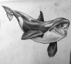 a drawing of an orca whale with its mouth open and it's teeth out