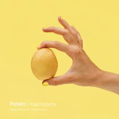 a person's hand holding an apple in front of a yellow background