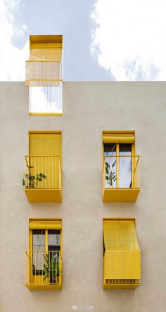 three yellow balconies on the side of a building with plants growing in them