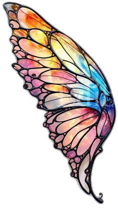 a multicolored butterfly wing on a white background