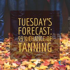 Sunbed Tanning, Pumpkin Spray, Tanning Studio