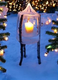 a lighted lantern in the snow surrounded by christmas trees