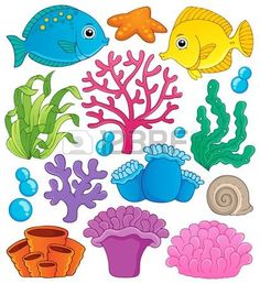 an assortment of sea animals and corals on a white background with clipping for text