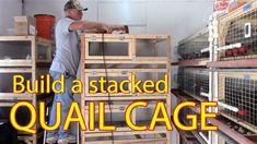 a man standing next to some cages in a building with the words build a stacked quail cage