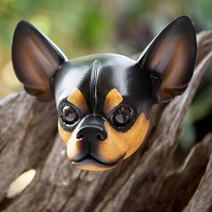 a toy chihuahua dog is sitting on a piece of wood with it's eyes wide open