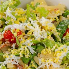 a salad with tomatoes, lettuce, cheese and other toppings in a white bowl