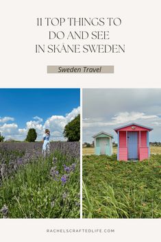 two pictures with the words it's top things to do and see in skaane sweden