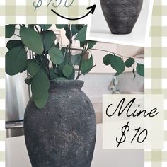 there is a vase with some plants in it and the price is $ 10 00