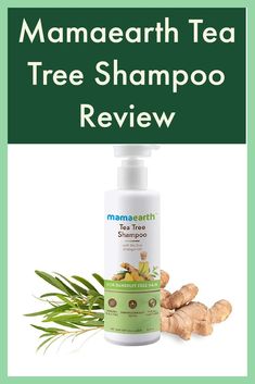 Try something new to remove dandruff with mamaearth tea tree shampoo. For best results, use regularly. Shampoo For Hair Fall, Best Shampoo For Hair, Shampoo For Dandruff, Oils For Dandruff, Dandruff Remedy, Tea Tree Shampoo, Best Shampoo, Shampoo Reviews, Ginger Oil