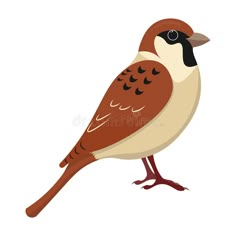 a brown and white bird standing on one leg