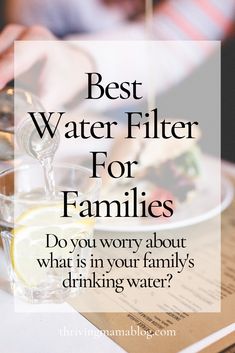 Holistic Motherhood, Brita Water Filter, Berkey Water Filter, Toxin Free Living, Best Water Filter, How Do You Clean, Filtered Water, Best Water, Healthy Mom