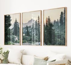 three paintings hanging on the wall above a couch in a room with white furniture and pillows