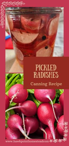 pickled radishes and canning recipe