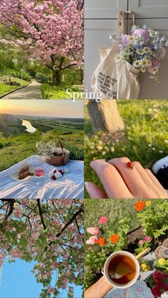 a collage of photos with flowers and trees in the foreground, teacups on a picnic table surrounded by pink blossoms