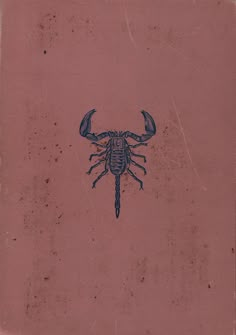 an old book with a scorpion drawn on it