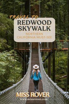 a woman walks across a suspension bridge in the redwood skywalk, northern california must - see